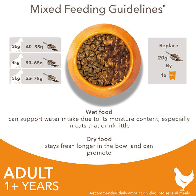 IAMS Advanced Nutrition Adult Cat with Chicken