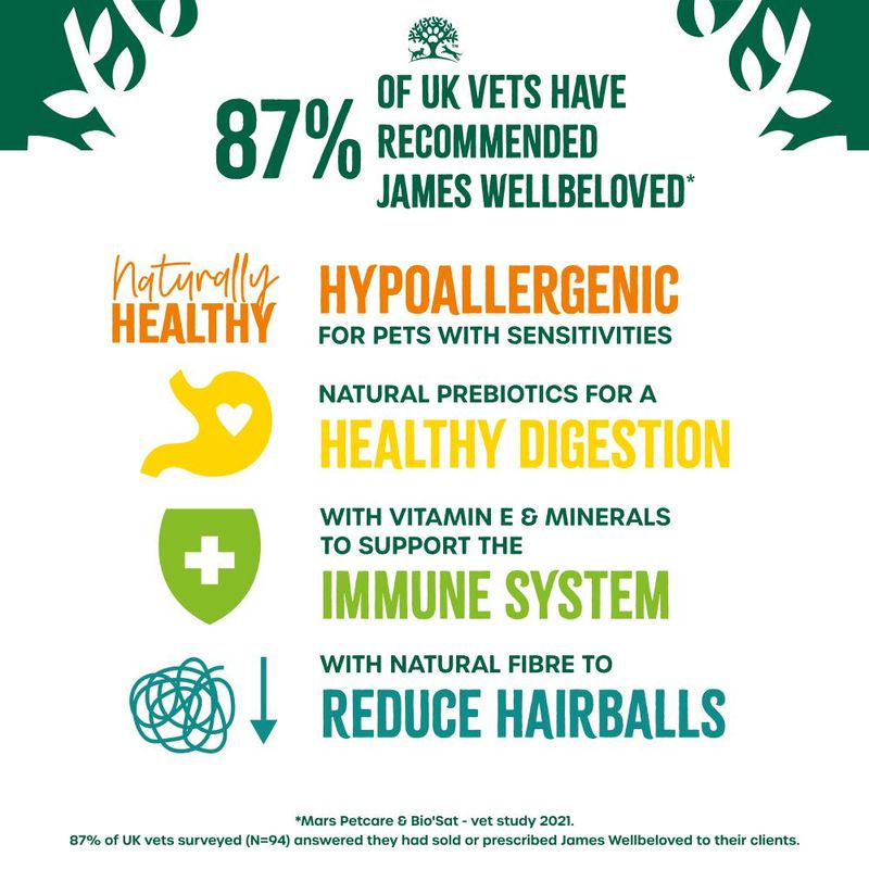 James Wellbeloved Adult Cat Hairball Hypoallergenic Turkey and Rice