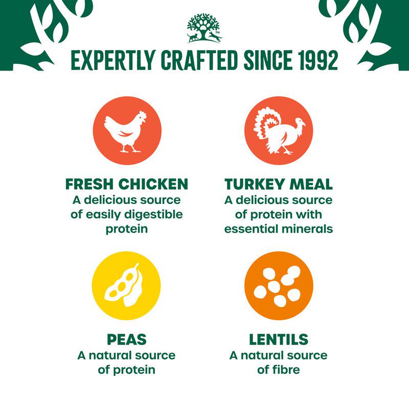 James Wellbeloved Adult Cat Hypoallergenic High Protein - Chicken and Turkey