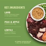 Load image into Gallery viewer, Lily&#39;s Kitchen Adult Dry Dog Food - Lamb, Potatoes and Parsley
