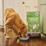 Load image into Gallery viewer, Lily&#39;s Kitchen Adult Dry Dog Food - Lamb, Potatoes and Parsley

