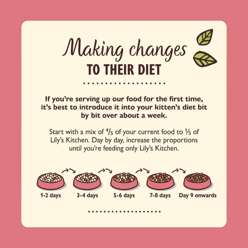 Front view of Lily's Kitchen Chicken Paté for Kittens