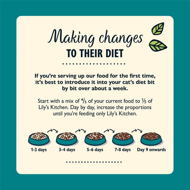 Lily's Kitchen Organic Fish Dinner for Cats