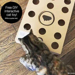 Load image into Gallery viewer, Modkat Cat Litter Tray
