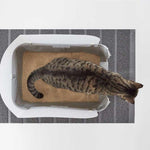 Load image into Gallery viewer, Modkat Cat Litter Tray
