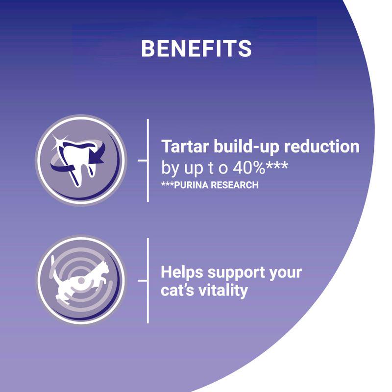 PURINA ONE Adult Salmon and Whole Grains Dry Cat Food