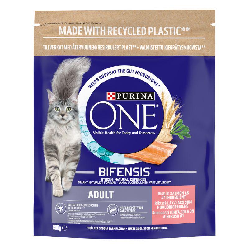 PURINA ONE Adult Salmon and Whole Grains Dry Cat Food