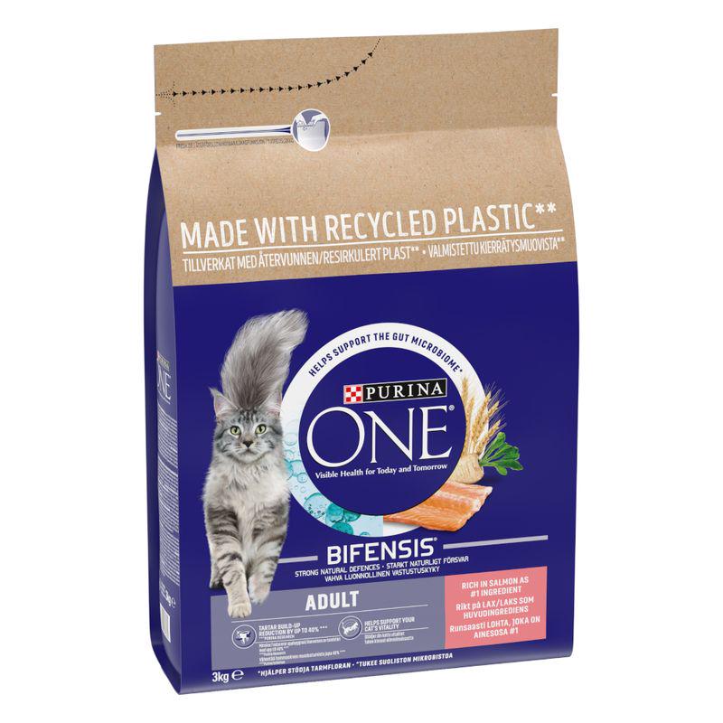 PURINA ONE Adult Salmon and Whole Grains Dry Cat Food