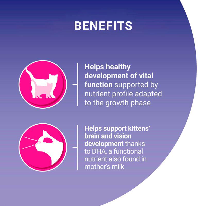 PURINA ONE Junior / Kitten Chicken and Whole Grains Dry Cat Food
