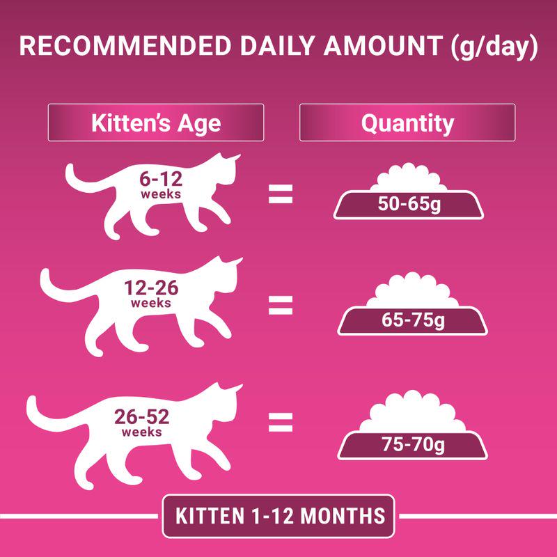 PURINA ONE Junior / Kitten Chicken and Whole Grains Dry Cat Food