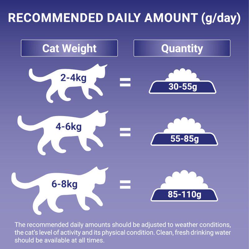 PURINA ONE Sensitive Turkey and Rice Dry Cat Food