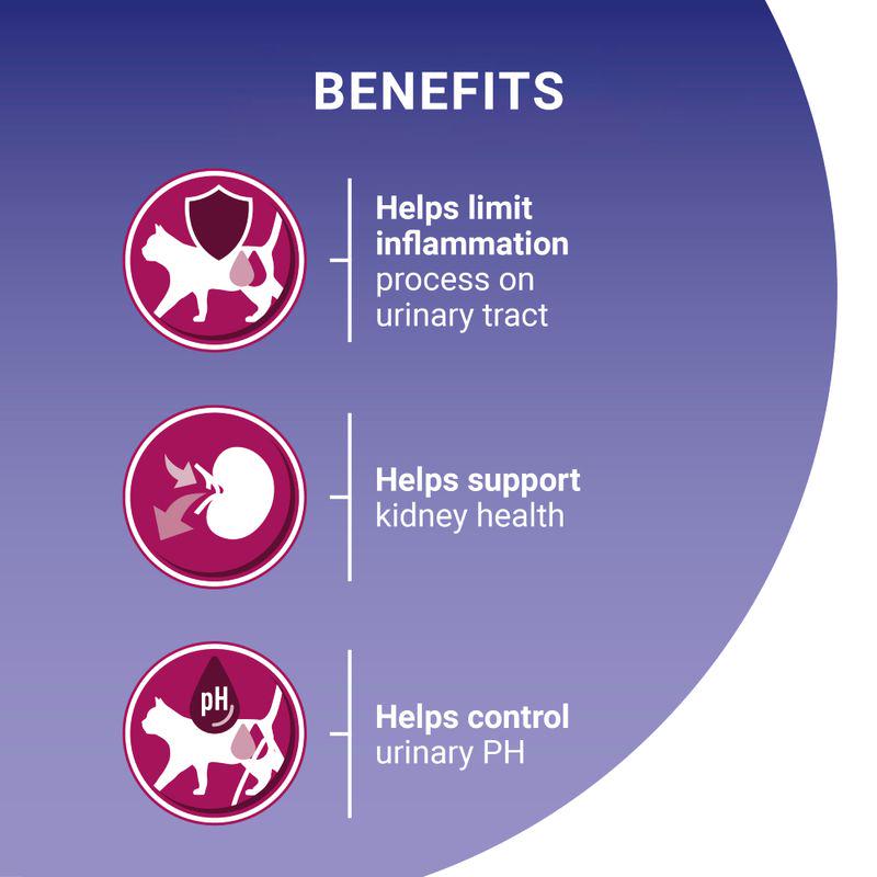 PURINA ONE Urinary Health