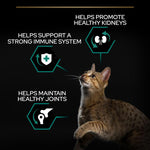 Load image into Gallery viewer, PURINA PRO PLAN Adult Renal Plus - Rich in Chicken
