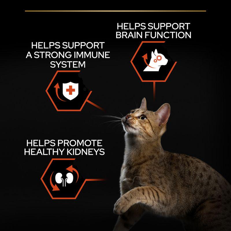 PURINA PRO PLAN Adult Vital Functions - Salmon