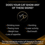 Load image into Gallery viewer, PURINA PRO PLAN Veterinary Diets Feline NF - Advanced Care Renal Function
