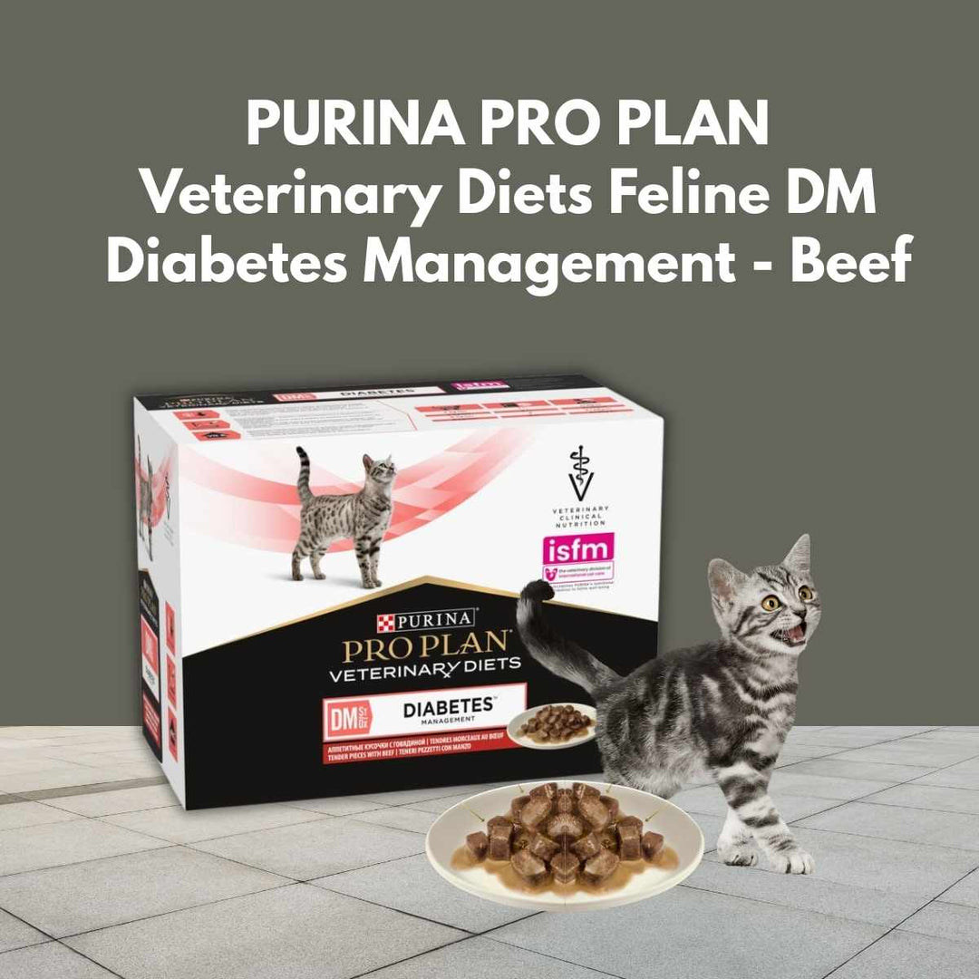 PURINA PRO PLAN Veterinary Diets Feline DM Diabetes Management Beef packaging with a cat and food on a gray background