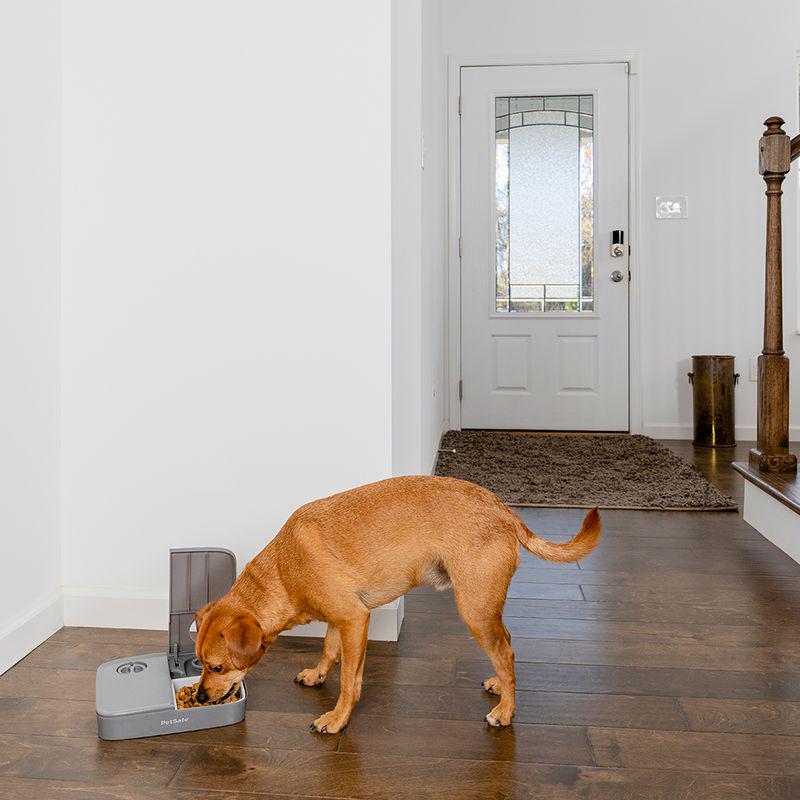 PetSafe® Automatic 2 Meal Pet Feeder