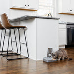 Load image into Gallery viewer, PetSafe® Automatic 2 Meal Pet Feeder
