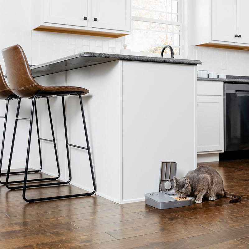 PetSafe® Automatic 2 Meal Pet Feeder