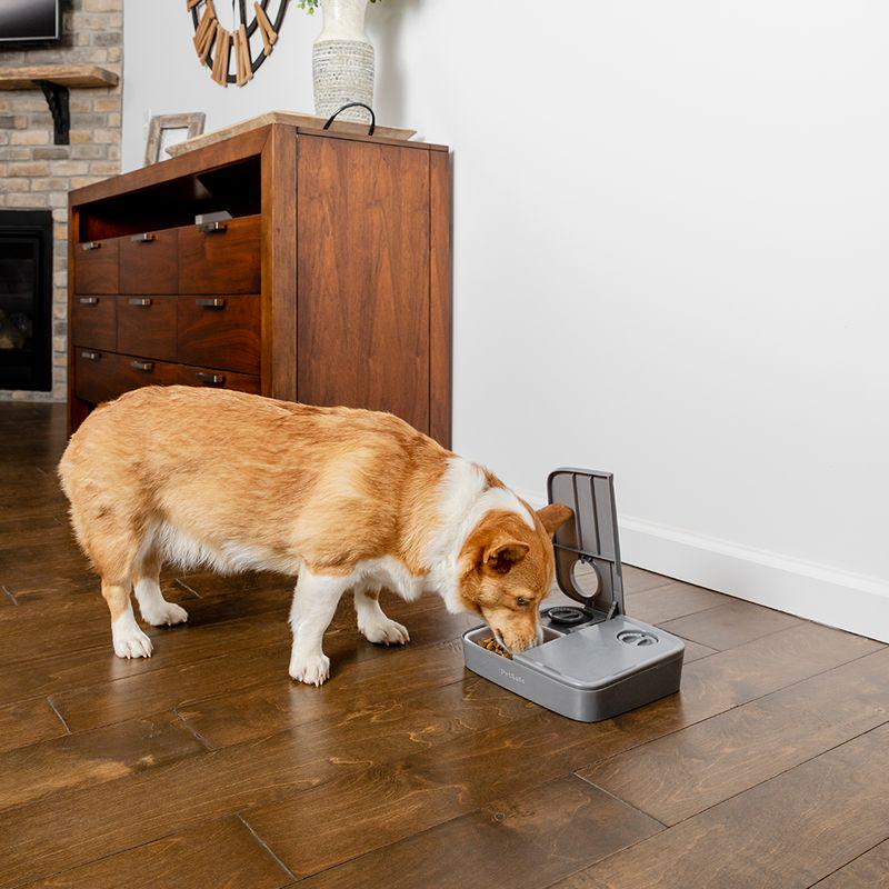 PetSafe® Automatic 2 Meal Pet Feeder