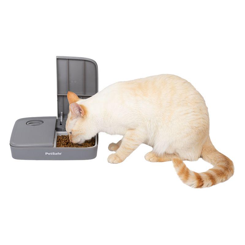 PetSafe® Automatic 2 Meal Pet Feeder