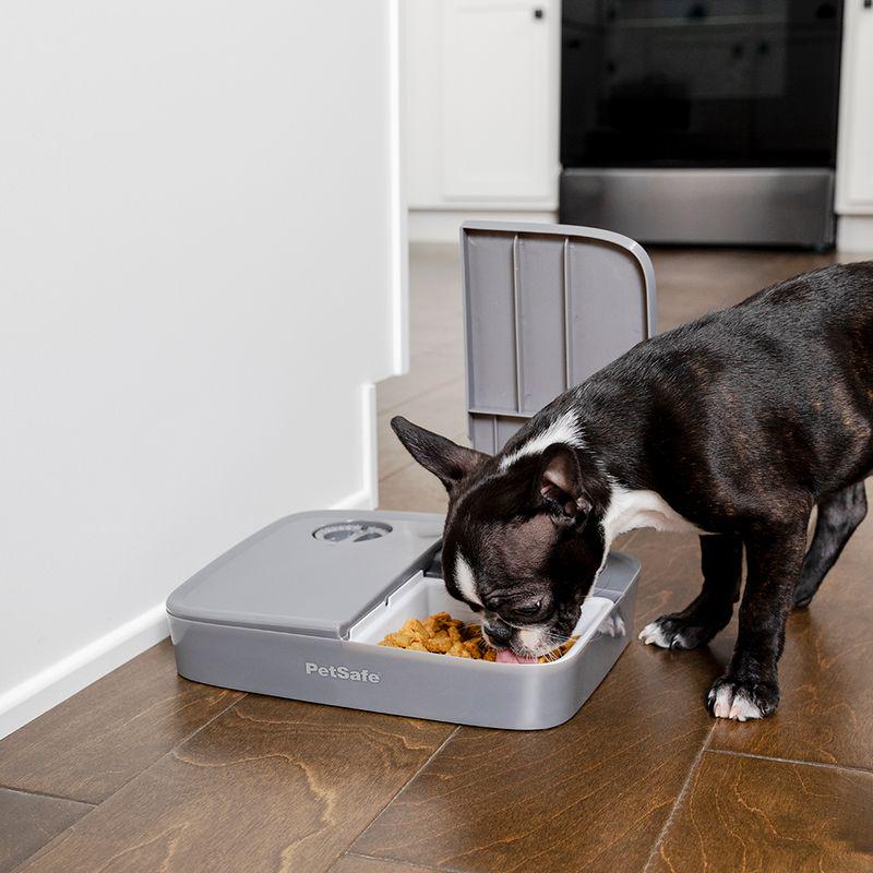 PetSafe® Automatic 2 Meal Pet Feeder