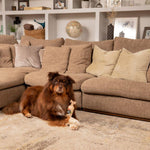 Load image into Gallery viewer, Pet Head Sensitive Soul