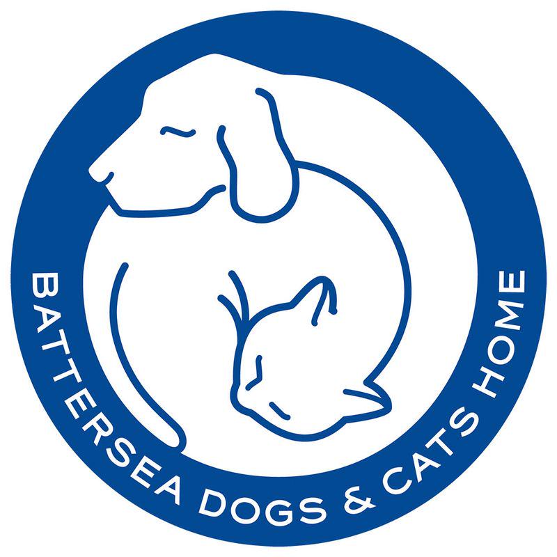 Pet Teezer De-shedding Brush Small