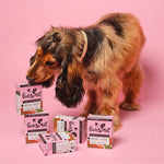 Load image into Gallery viewer, Pooch and Mutt Wet Dog Food - Turkey and Chicken
