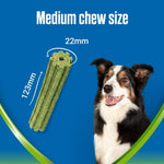 Load image into Gallery viewer, Purina Dentalife ActivFresh Daily Dental Care Snacks for Medium Breed Dogs