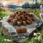 Load image into Gallery viewer, Purizon Large Adult Grain-Free Chicken and Fish
