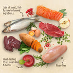 Load image into Gallery viewer, Purizon Large Adult Grain-Free Chicken and Fish

