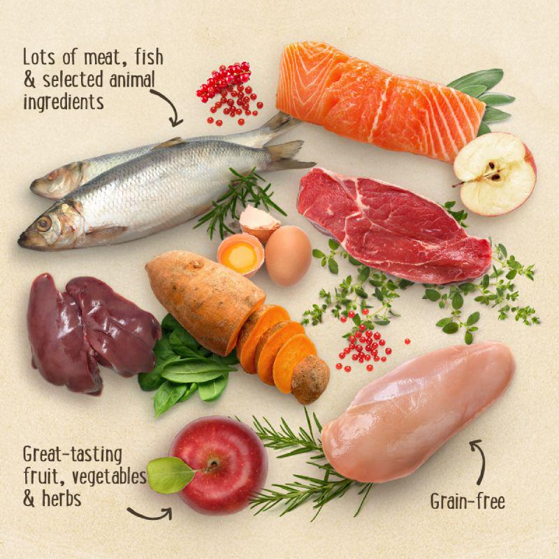Purizon Large Adult Grain-Free Chicken and Fish