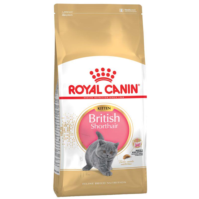 Royal Canin Breed Dry Cat Food Economy Packs