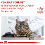 Load image into Gallery viewer, Royal Canin Expert Feline Gastrointestinal Fibre Response
