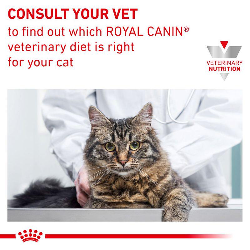 Royal Canin Expert Feline Gastrointestinal Fibre Response