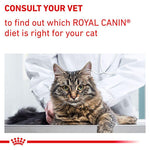 Load image into Gallery viewer, Royal Canin Expert Feline - Neutered Satiety Balance
