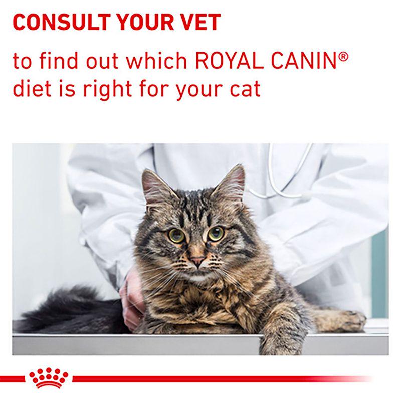Royal Canin Expert Feline - Neutered Satiety Balance
