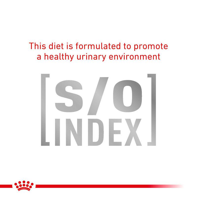 Royal Canin Expert Feline Gastrointestinal Fibre Response