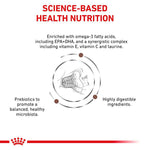 Load image into Gallery viewer, Royal Canin Expert Feline Gastrointestinal Fibre Response
