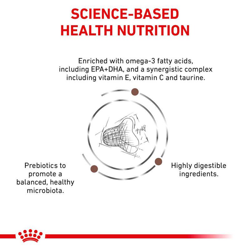 Royal Canin Expert Feline Gastrointestinal Fibre Response