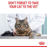 Load image into Gallery viewer, Royal Canin Hairball Care
