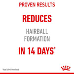Load image into Gallery viewer, Royal Canin Hairball Care
