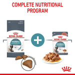 Load image into Gallery viewer, Royal Canin Hairball Care
