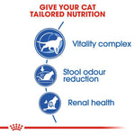 Load image into Gallery viewer, Royal Canin Indoor 7+
