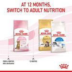 Load image into Gallery viewer, Royal Canin Kitten Sterilised
