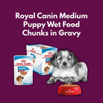 Load image into Gallery viewer, Royal Canin Medium Puppy Wet Food Chunks in Gravy with a puppy and food bowl on a purple background
