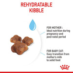 Load image into Gallery viewer, Royal Canin Mother and Babycat
