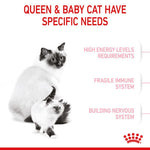 Load image into Gallery viewer, Royal Canin Mother and Babycat
