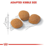 Load image into Gallery viewer, Royal Canin Protein Exigent
